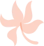 decorative insurance benefits shape